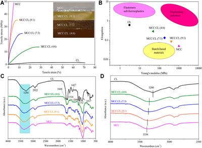 Preparation and Characterization of Chinese Leek Extract Incorporated Cellulose Composite Films